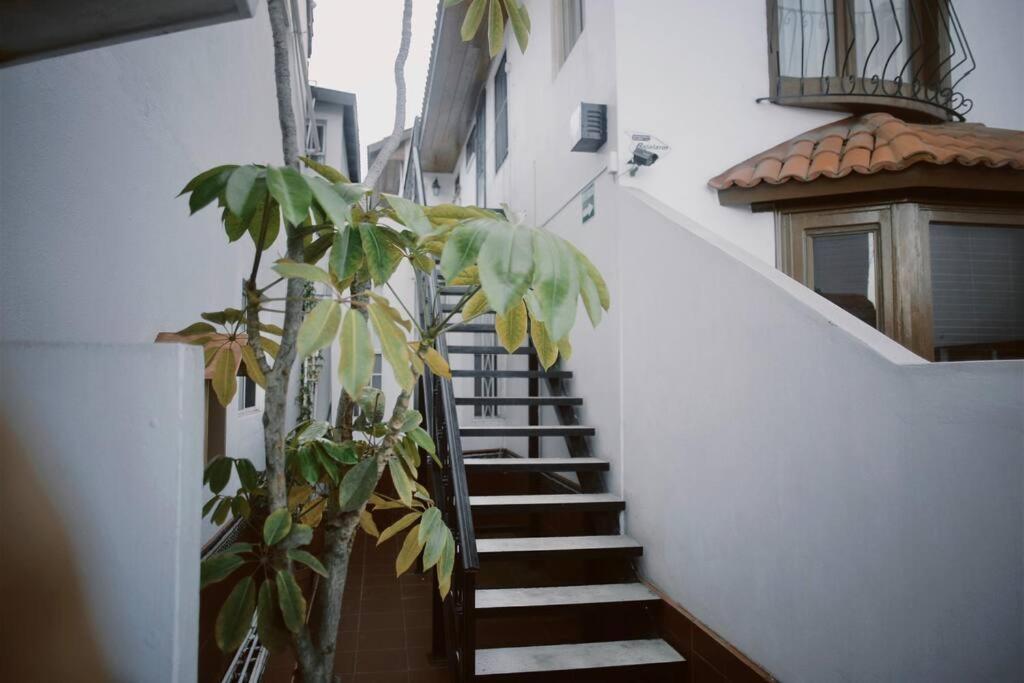 Apartment Casa Macfarland Boutique