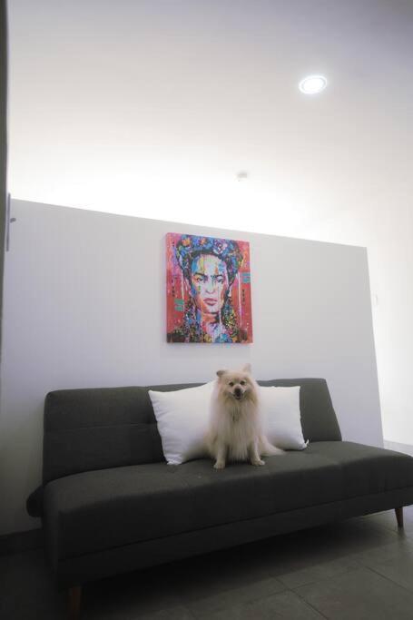 Casa Macfarland Boutique Apartment *